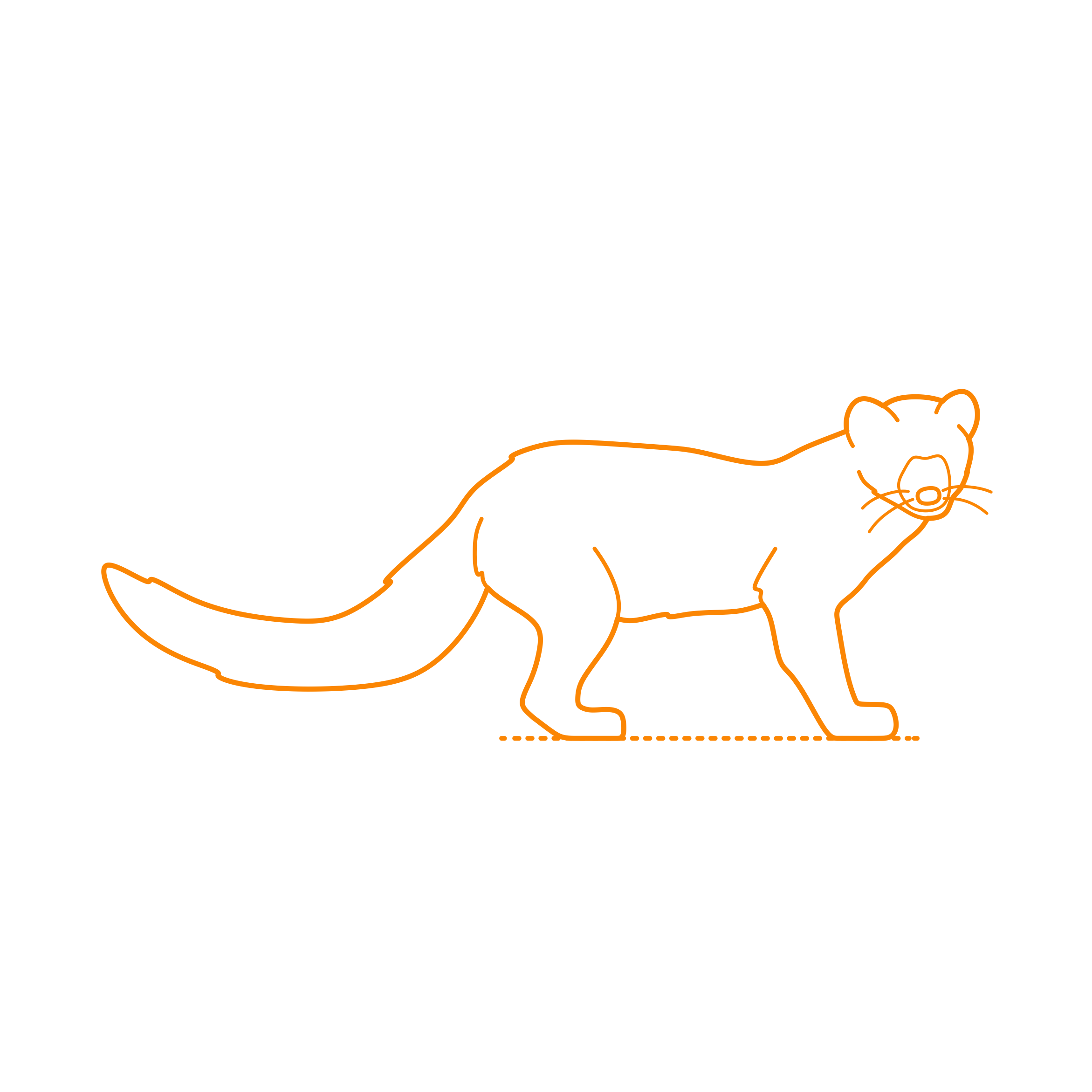 Animals Mustelids Fisher Outline Drawing Svg Vector Free Vectors